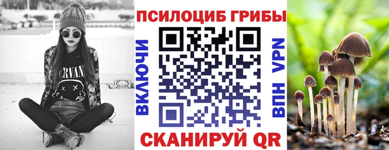 Купить  Удомля  Псилоцибиновые грибы Psilocybe 